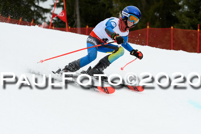 DSV - Deutscher Schülercup U12 Finale RaceCross