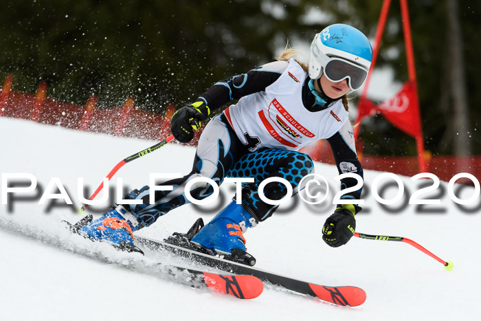 DSV - Deutscher Schülercup U12 Finale RaceCross