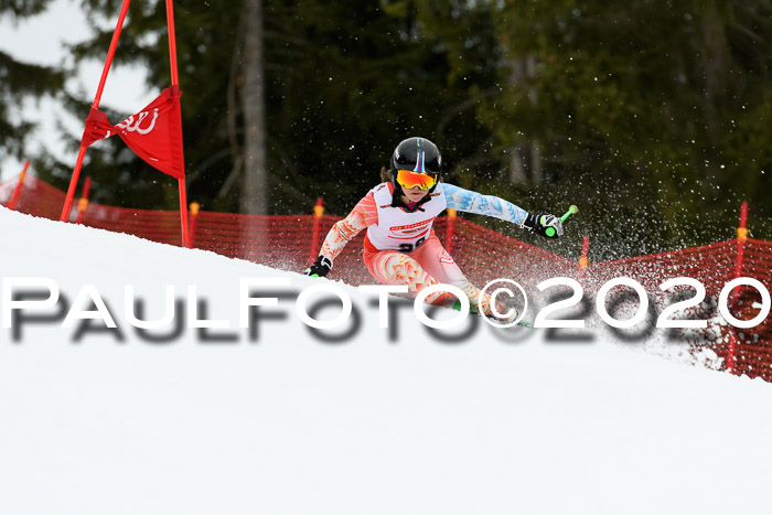 DSV - Deutscher Schülercup U12 Finale RaceCross