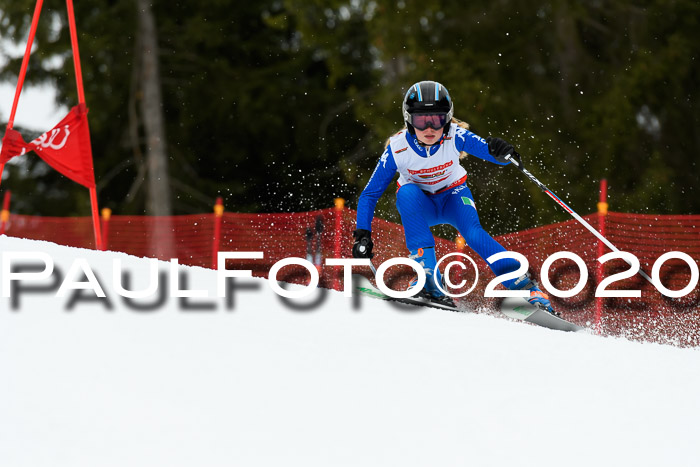 DSV - Deutscher Schülercup U12 Finale RaceCross