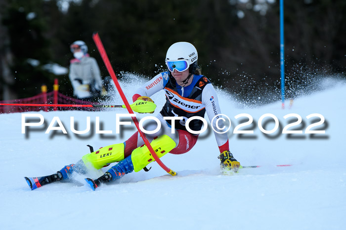 FIS Slalom Damen + Herren, ATA, 16.01.2022