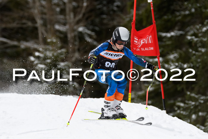 BSV Ziener Kids Cross Rennen 1 Region 3  U12 + ASV Reischmann Cup U12