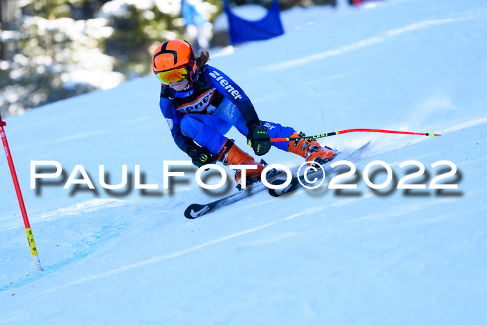 BSV Ziener Kids Cross Rennen 1 Region 3  U12 + ASV Reischmann Cup U12