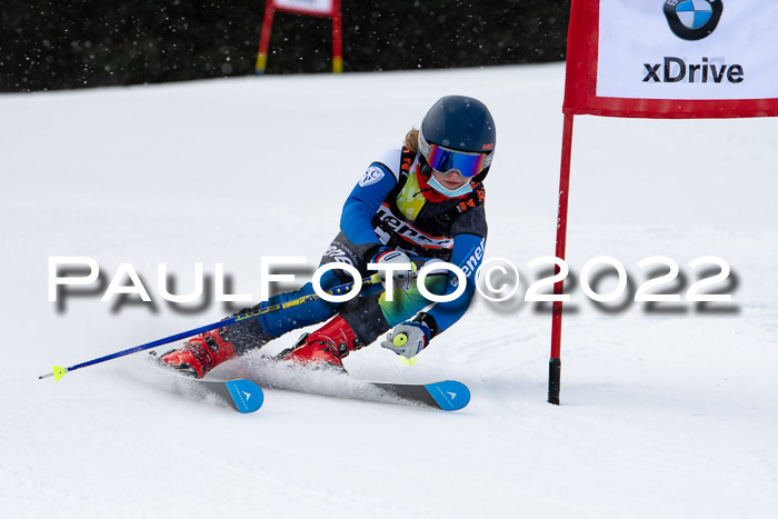 Ziener Kids Race Cross U12  Reg III + Ziener Cup WF