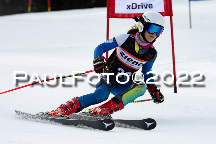 Ziener Kids Race Cross U12  Reg III + Ziener Cup WF