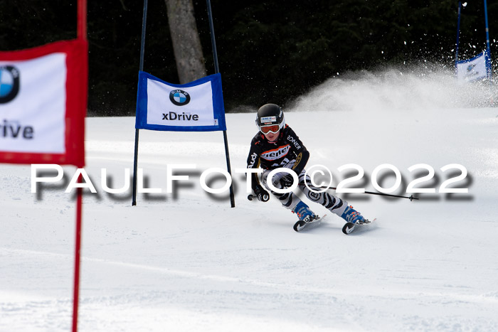 Ziener Kids Race Cross U12  Reg III + Ziener Cup WF