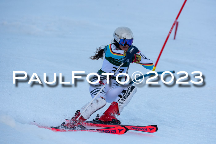 FIS Slalom + NJC Damen + FIS Herren 22.02.2020