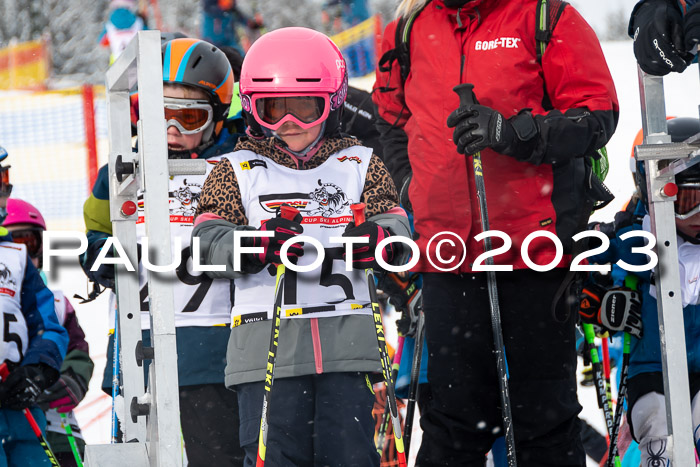 DSV Skitty Cup Alpin, 26.02.2026