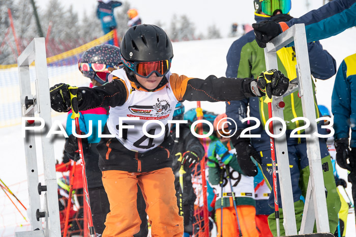 DSV Skitty Cup Alpin, 26.02.2026