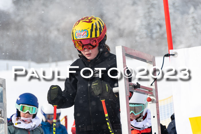 DSV Skitty Cup Alpin, 26.02.2026