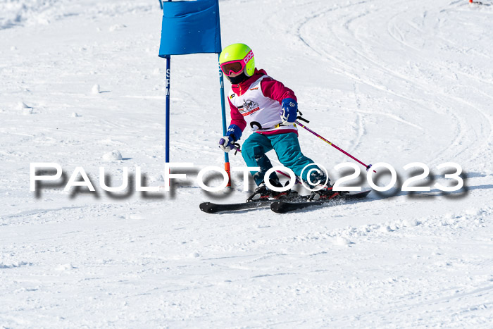 DSV Skitty Cup Alpin, 26.02.2026