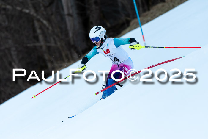 BZB CUP SL  08.02.2025    