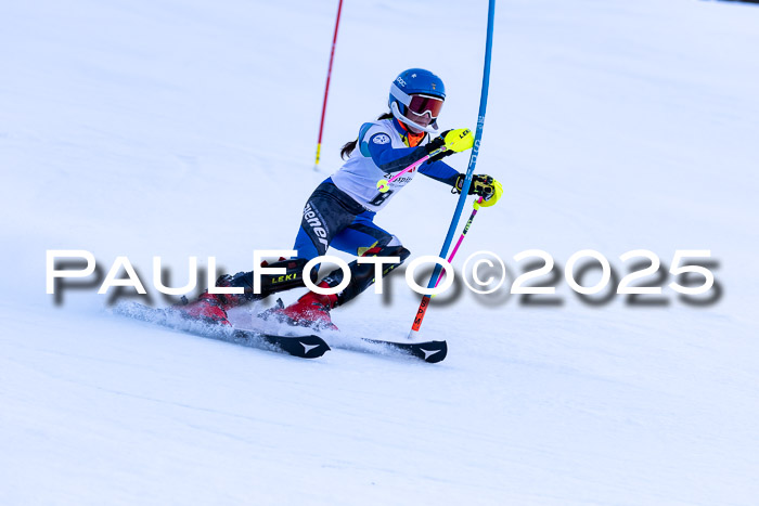 BZB CUP SL  08.02.2025    