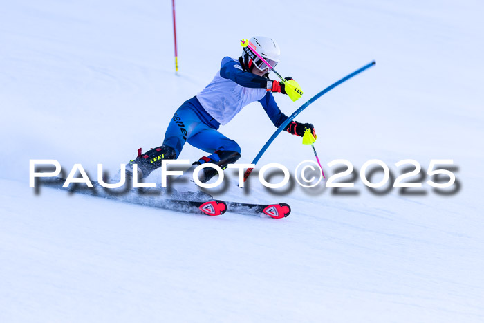 BZB CUP SL  08.02.2025    