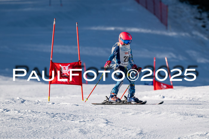 7. Münchner Skimeisterschaft, 08.02.2025