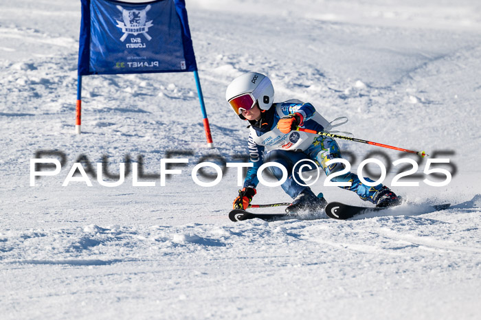 7. Münchner Skimeisterschaft, 08.02.2025