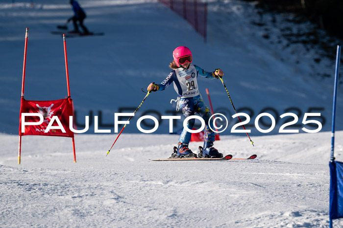 7. Münchner Skimeisterschaft, 08.02.2025