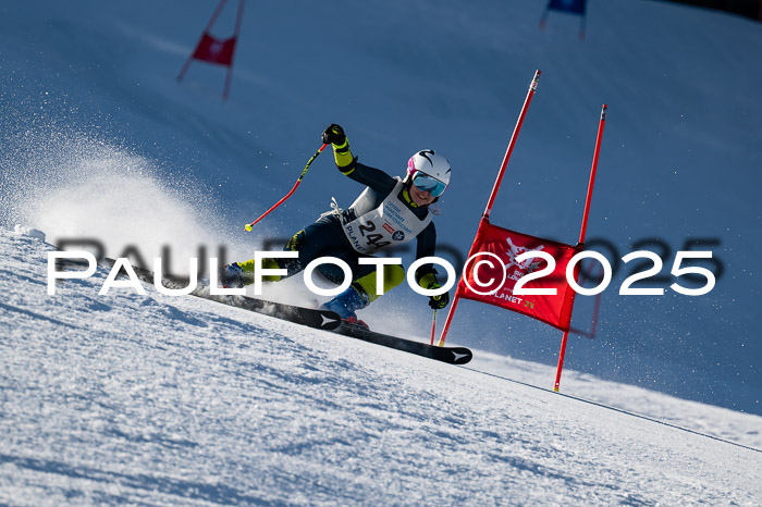 7. Münchner Skimeisterschaft, 08.02.2025