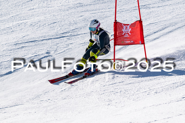 7. Münchner Skimeisterschaft, 08.02.2025