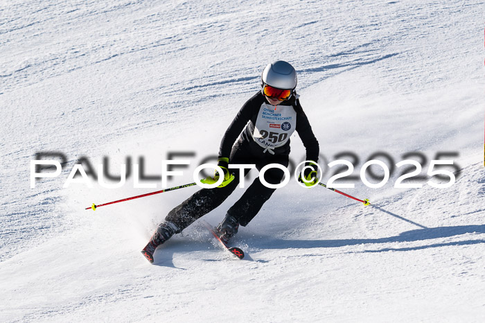 7. Münchner Skimeisterschaft, 08.02.2025