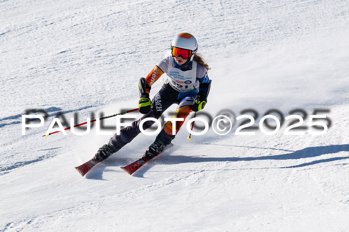 7. Münchner Skimeisterschaft, 08.02.2025