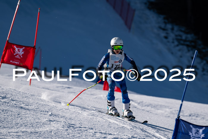 7. Münchner Skimeisterschaft, 08.02.2025
