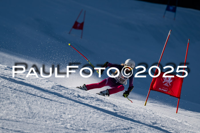 7. Münchner Skimeisterschaft, 08.02.2025