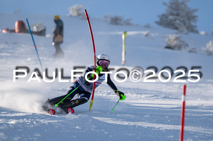 NJC Slalom Damen 15.02.2025