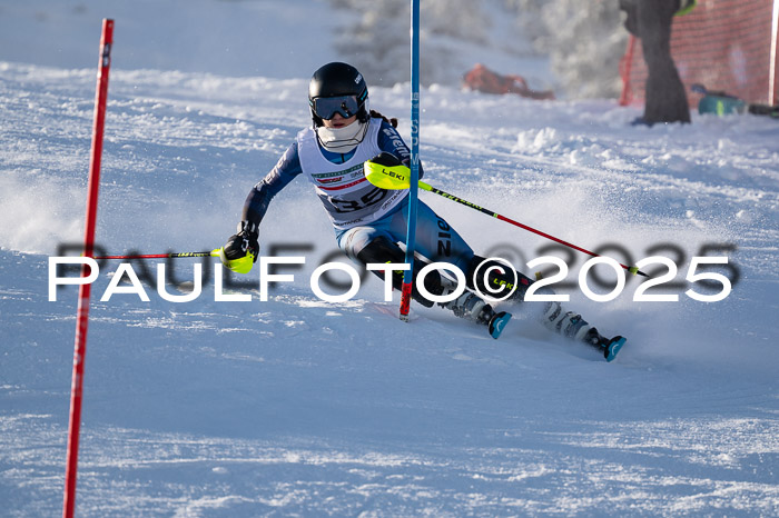 NJC Slalom Damen 15.02.2025