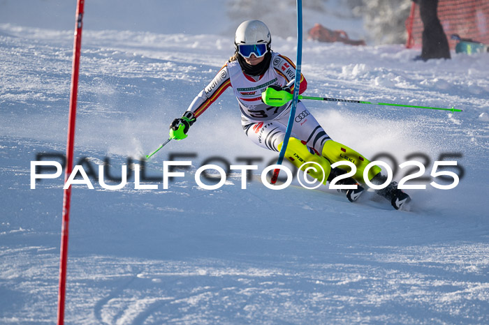 NJC Slalom Damen 15.02.2025