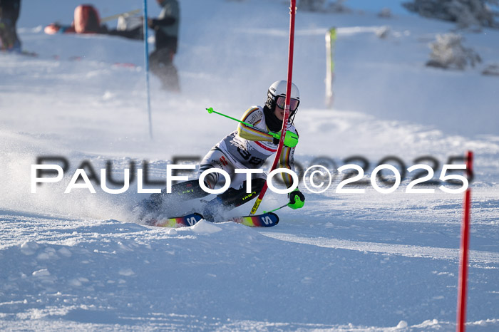 NJC Slalom Damen 15.02.2025