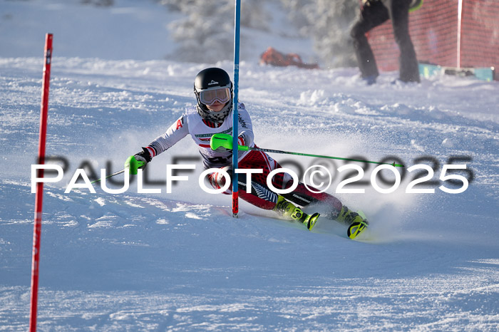 NJC Slalom Damen 15.02.2025