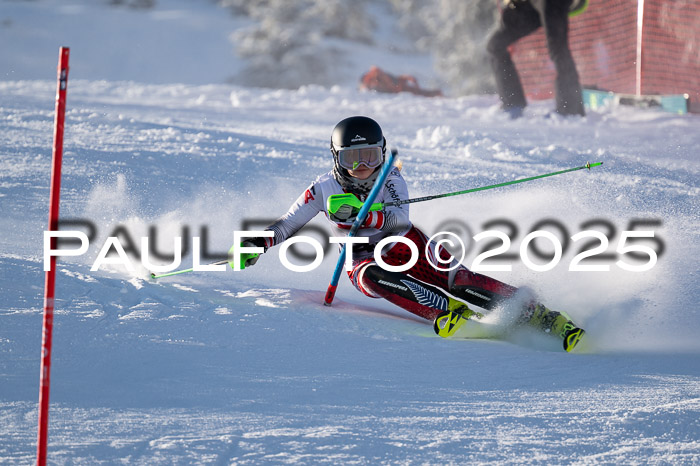 NJC Slalom Damen 15.02.2025