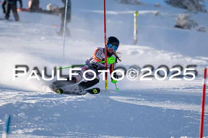 NJC Slalom Damen 15.02.2025