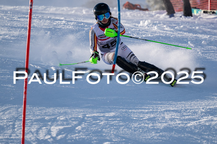 NJC Slalom Damen 15.02.2025