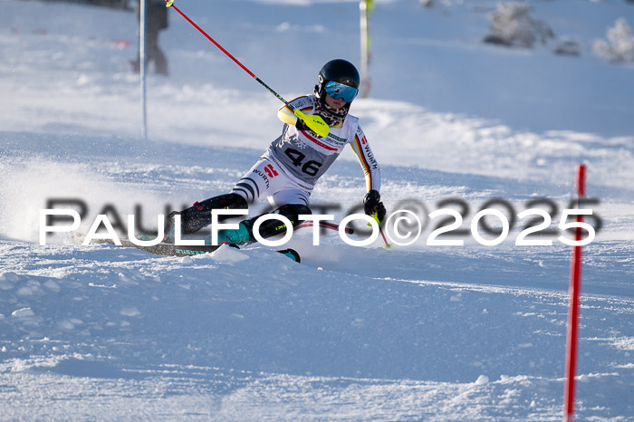 NJC Slalom Damen 15.02.2025