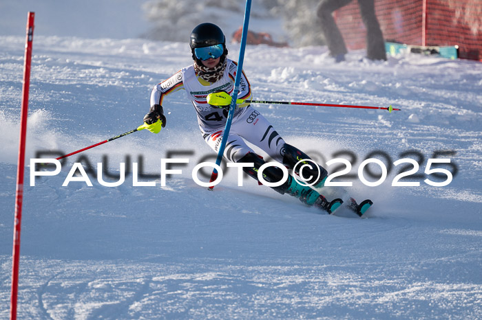 NJC Slalom Damen 15.02.2025