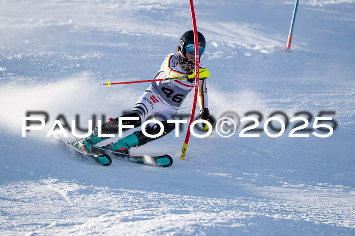 NJC Slalom Damen 15.02.2025