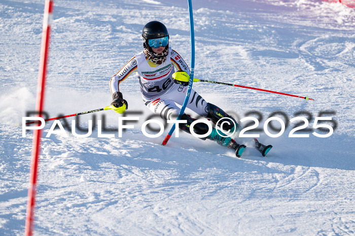 NJC Slalom Damen 15.02.2025