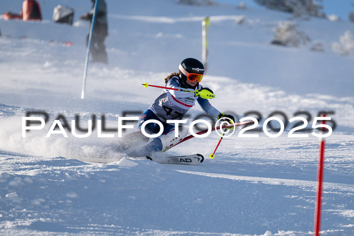 NJC Slalom Damen 15.02.2025