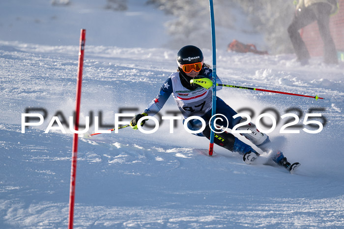 NJC Slalom Damen 15.02.2025