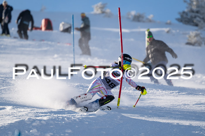 NJC Slalom Damen 15.02.2025
