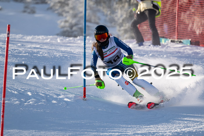 NJC Slalom Damen 15.02.2025