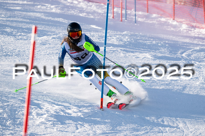NJC Slalom Damen 15.02.2025