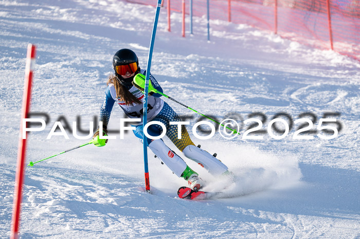 NJC Slalom Damen 15.02.2025