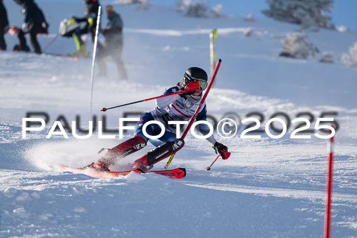 NJC Slalom Damen 15.02.2025