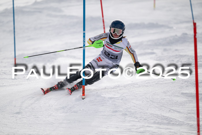 NJC Slalom Damen 15.02.2025