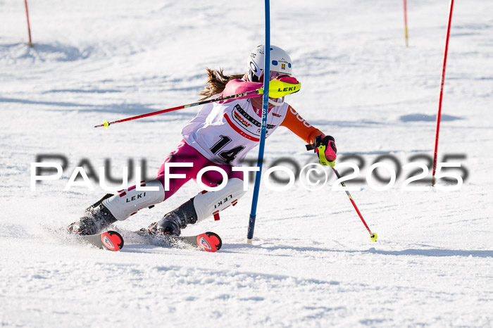DSV ELK Schülercup Alpin U14 SL, 22.02.2025