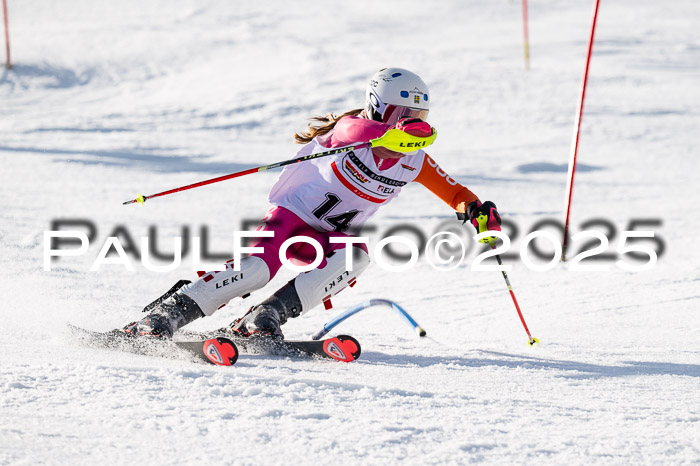 DSV ELK Schülercup Alpin U14 SL, 22.02.2025