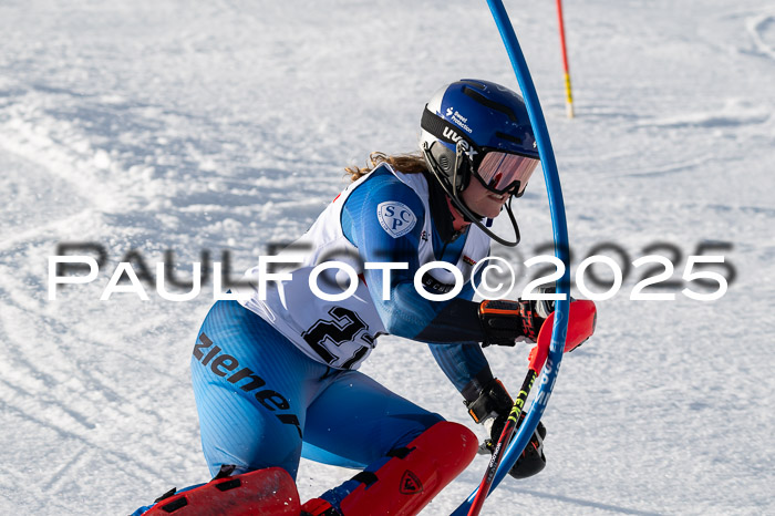 DSV ELK Schülercup Alpin U14 SL, 22.02.2025